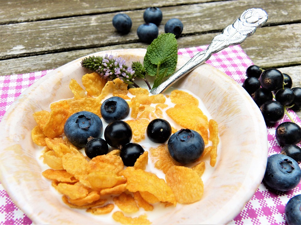 https://pixabay.com/en/corn-flakes-milk-berries-2546097/