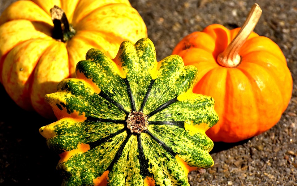 https://pixabay.com/en/pumpkins-colorful-autumn-decoration-2204643/